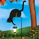 Cat HAlting a Solar Lantern Outdoor Metal Markers