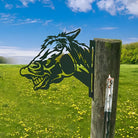 Funny Horse Farm Peeping Animal Outdoor Metal Garden Art